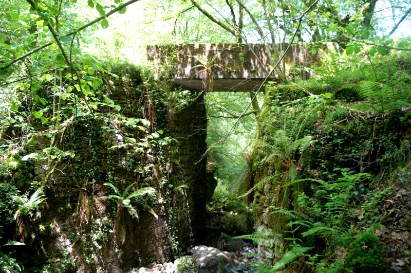 Foces del Río Pendón (Sª Peñamayor) - Descubriendo Asturias (9)