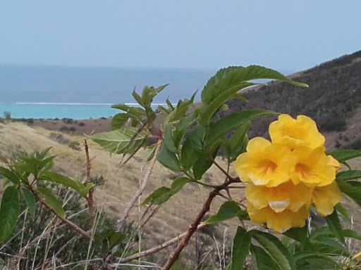 Point de vue - Oua Koué