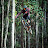 Jason Smith avatar image