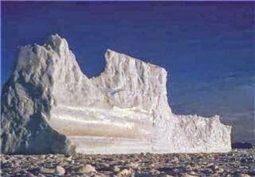 Antarctica Rising