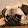 aki xie aki xie's profile photo