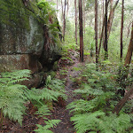 Track up to Blaxland Library car park (149133)