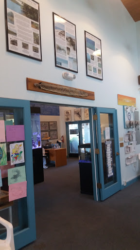Environmental Protection Organization «Manatee Observation and Education Center», reviews and photos, 480 N Indian River Dr, Fort Pierce, FL 34950, USA