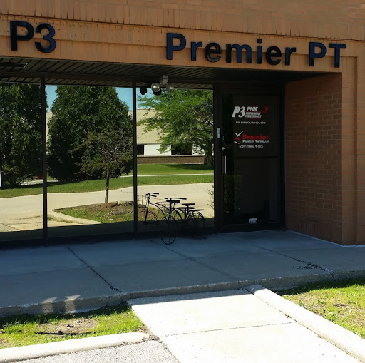 P3 - Peak Performance Professionals logo