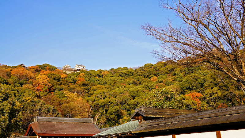 松山城二之丸史跡庭園 写真2