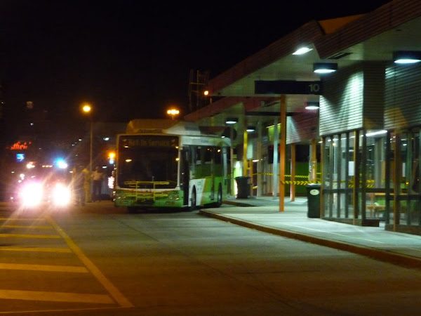 bus