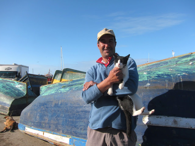 Essaouira fisherman and one of the street cats