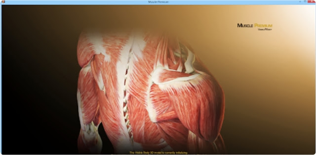 Muscle Premium v3.1 La Guia Visual 3D del Sistema Muscular Humano 2013-08-11_02h11_25