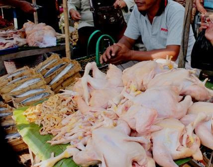 Harga daging ayam di kabupaten Ngawi