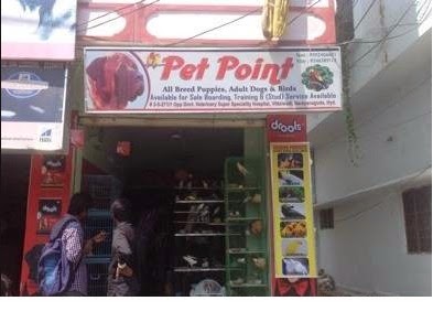 pet point, Vittalwadi, Narayanguda, Hyderabad, Telangana 500029, India, Pet_Shop, state TS