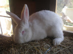 PC070168.JPG