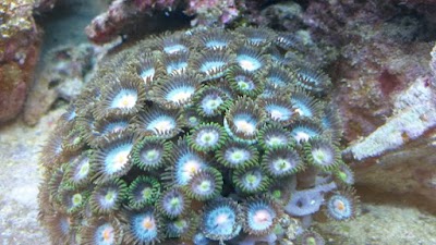 Photos of Il Punto Naturale 2