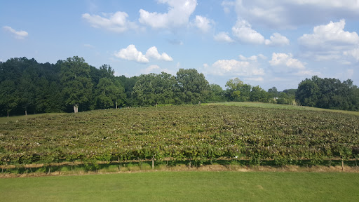 Winery «DelMonaco Winery & Vineyards», reviews and photos, 600 Lance Dr, Baxter, TN 38544, USA