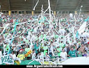 TORCIDA ORGANIZADA INFERNO VERDE