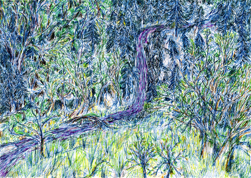 pine valley (drawing by franka waaldijk)