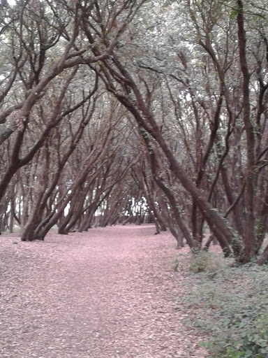 Parc De Penn Avel