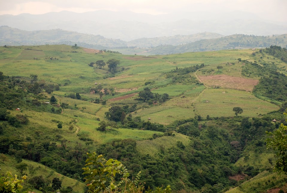 Oeste de Kenya y Lago Victoria - Blogs de Kenia - Kericho - Mount Elgon (3)