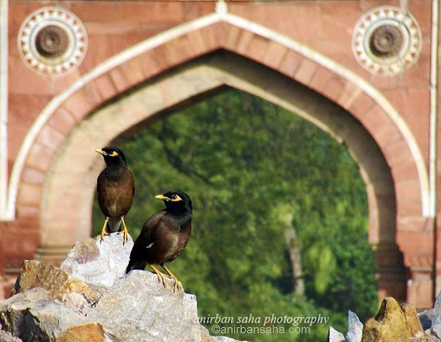 sher shah gate, delhi, indian , independence day