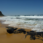 Along Forresters beach (207091)