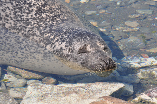 Bioparc de la Gaspésie - Bonaventure