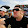 Joshua Hart Joshua Hart's profile photo