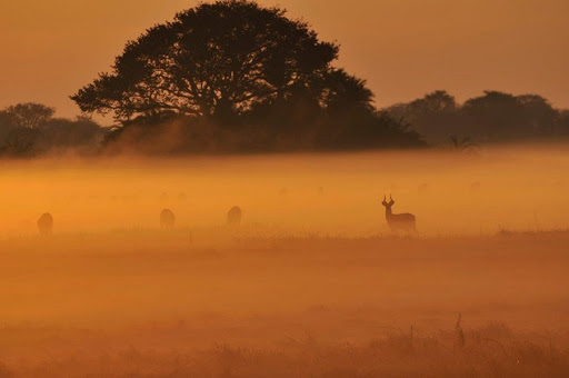 Parc national de Kafue