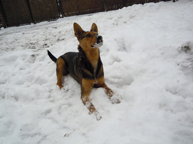 DSCN1661.JPG