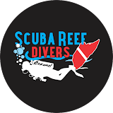 Scuba Reef Divers