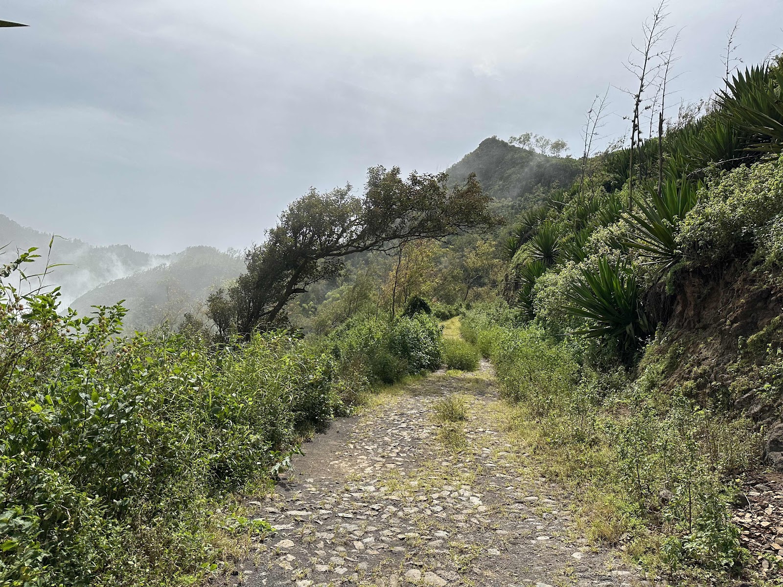 Serra Malagueta, Santiago, Cabo Verde