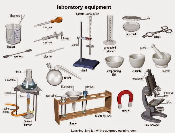 Lab Equipment - Ms. J.Kim's Science Classes