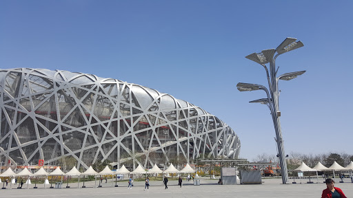 THE NEST
