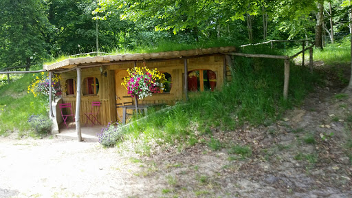 Le Coeur de la Forêt
