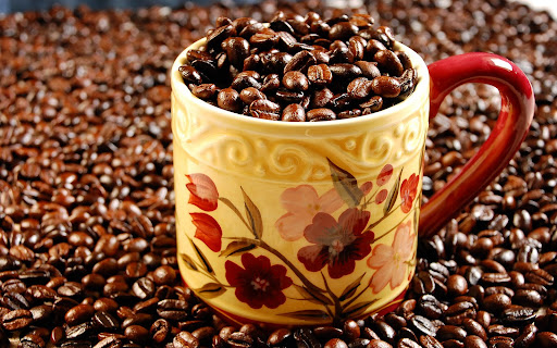 Go Top 10 Producers of Coffee in the World