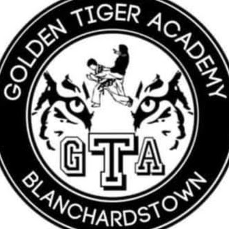 Golden Tiger Academy - Blanchardstown logo
