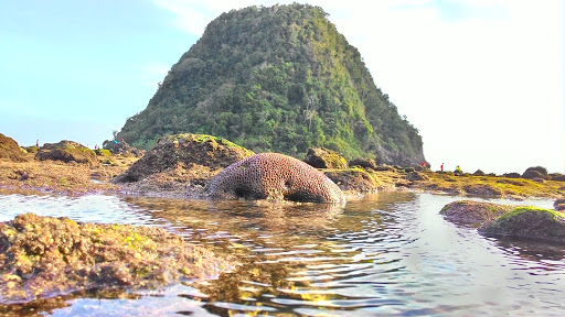 Pantai Pulau Merah