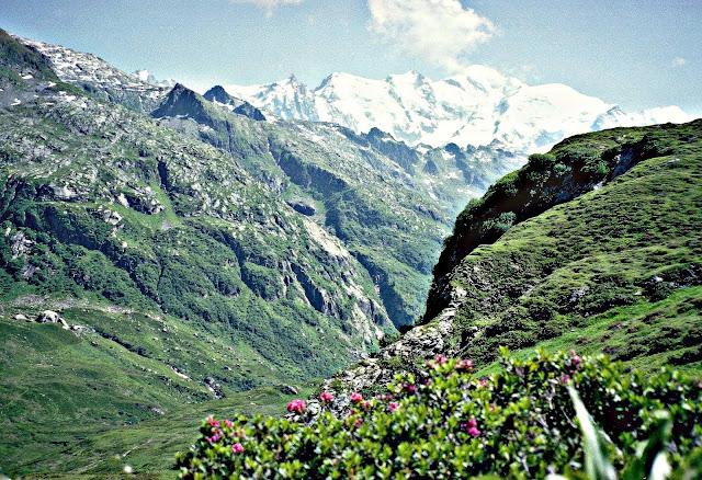  Tour im Reserve Naturelle de Passy Mont Blanc Blickt von Plaine Joux bis Chalet de Villy
