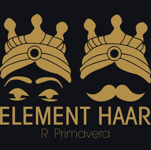 ELEMENT HAAR logo