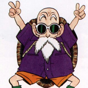 Mr Roshi review