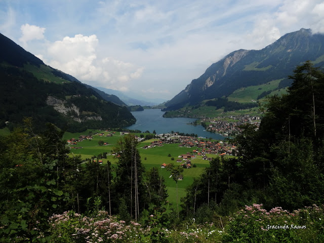 passeando - Passeando pela Suíça - 2012 - Página 12 DSC04192