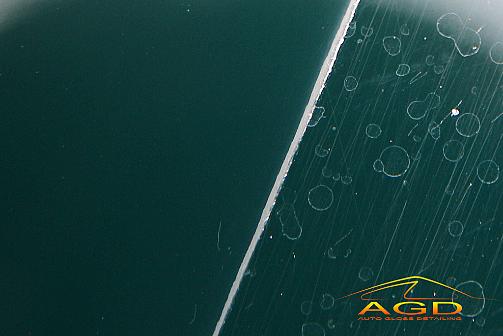 AGDetailing - AGDetailing - La Miciona Selvatica (Jaguar XK8 Arden) B84C0561