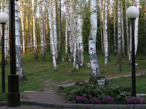 Отель лесной нижнекамск