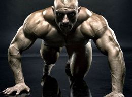 Bodybuilding Male Models - Sexy Hulk Guys