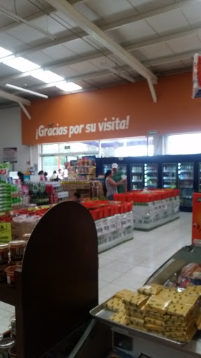 La Gran Bodega Castillotla, AV. de Los Pinos N° 1550, San Isidro Castillotla, 72498 Puebla, Pue., México, Supermercado | PUE