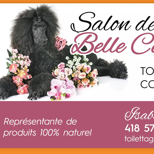 Salon De Toilettage Belle Couleur logo