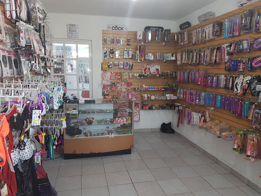 Pinky Sexy Shop Santa Rosa Jáuregui, Alcanfores 5, Valle Dorado 2da Secc, 76220 Santa Rosa Jáuregui, Qro., México, Sex shop | QRO