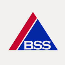 British Safety Services logo
