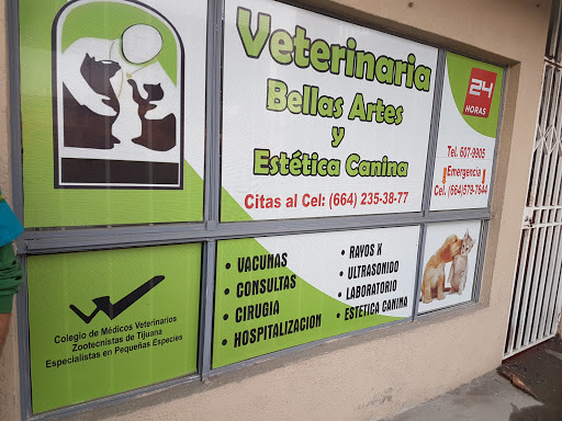 Veterinaria Bellas Artes, Blvd. de las Bellas Artes 353, Nueva Tijuana, 22435 Tijuana, B.C., México, Veterinario | BC