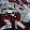 zach burke zach burke's profile photo