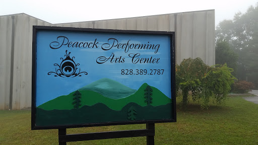 Performing Arts Theater «The Peacock Performing Arts Center», reviews and photos, 301 Church St, Hayesville, NC 28904, USA