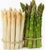 sayur asparagus